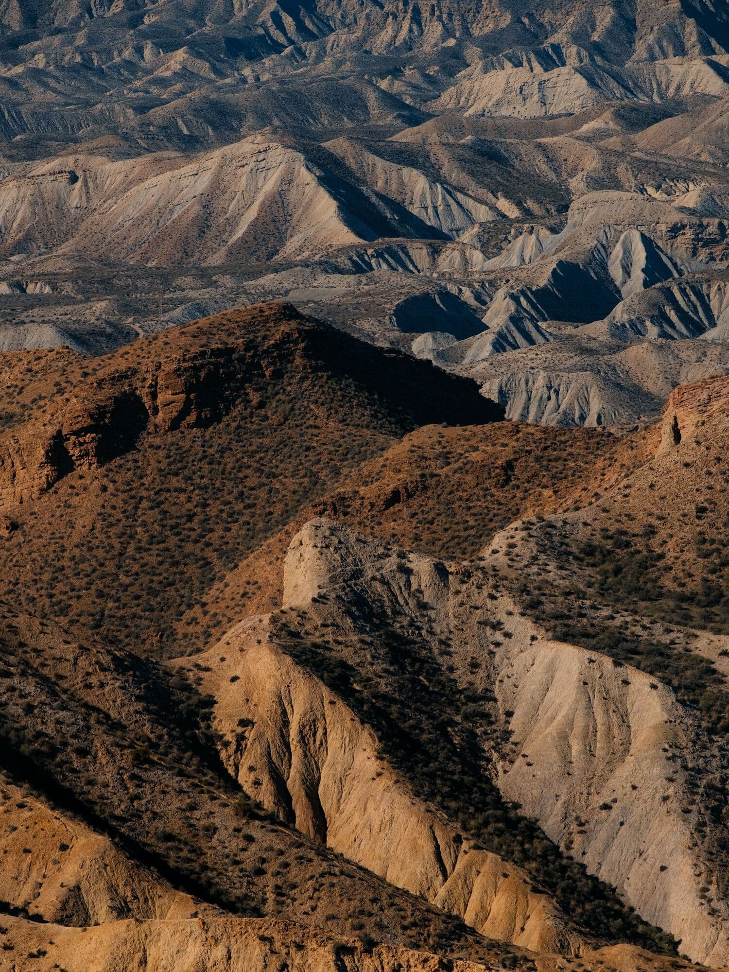 Colinas áridas y barrancos del desierto de Tabernas